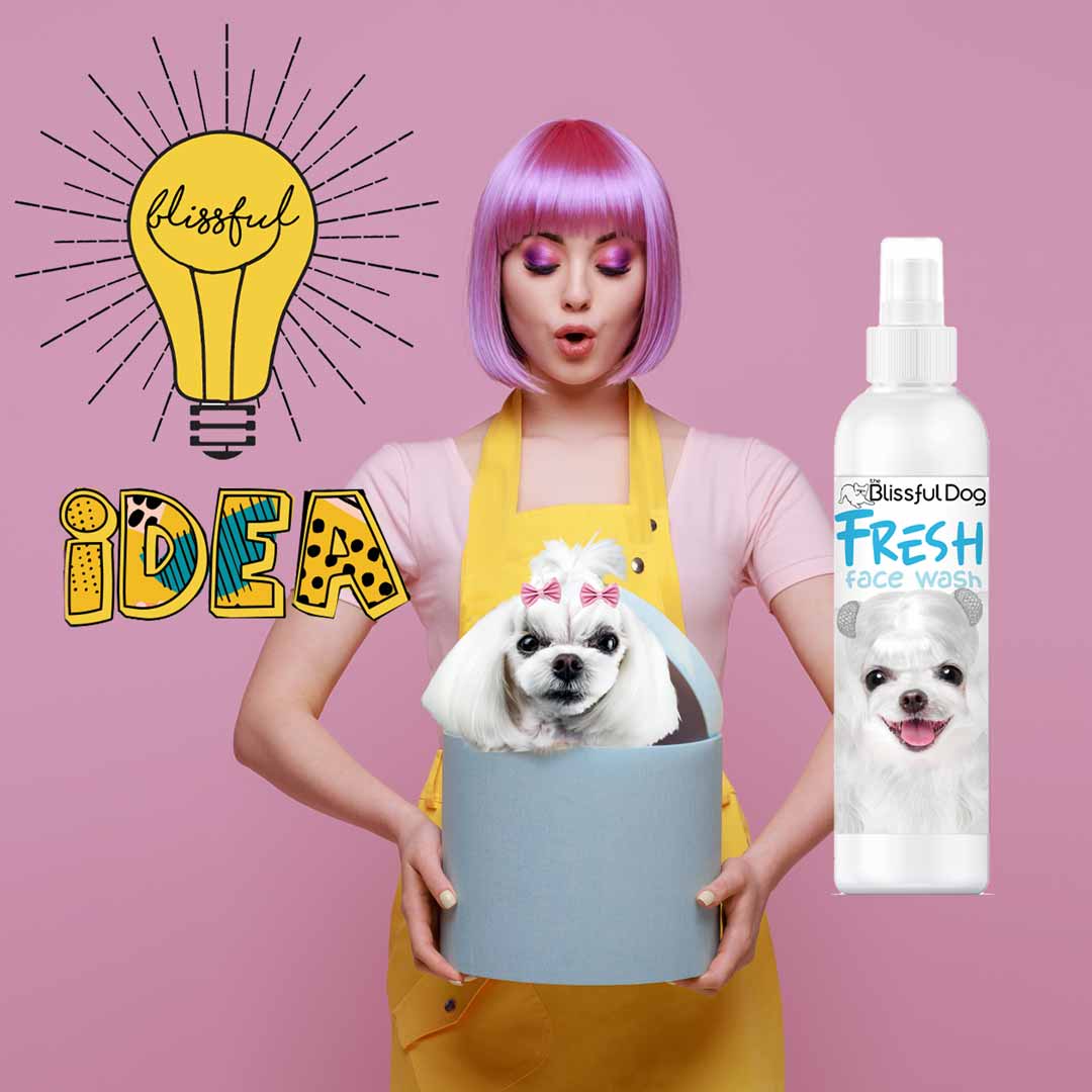 maltese face wash